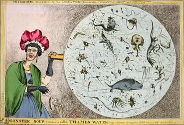 Microkosmos gewijd aan de Londense Waterbedrijven: Monstersoep, gewoonlijk Thames Water genoemd, een correcte weergave van dat kostbare spul dat ons wordt uitgedeeld!!!, gegraveerd en gepubliceerd in 1828